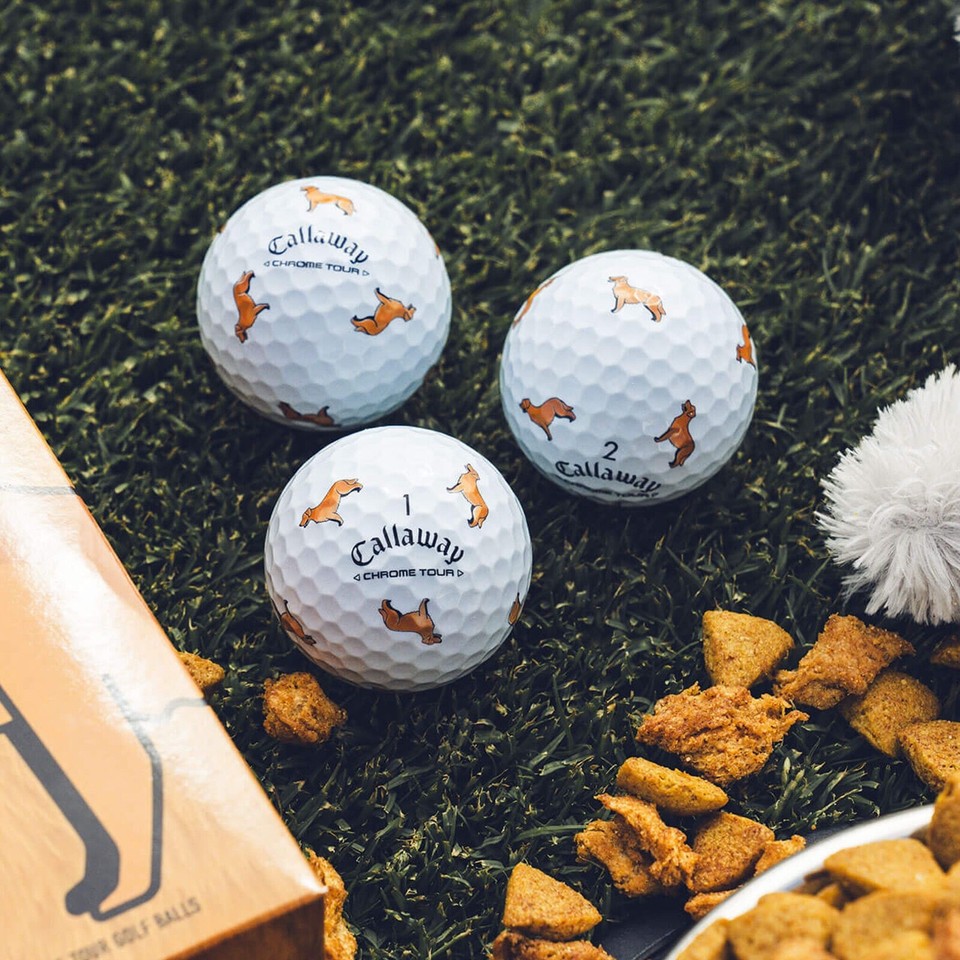 Chrome Tour Golden Retriever Golf Balls, Brand New 1 Dozen, LET THE BIG