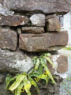 Photo 6x4 OS benchmark - Walwyns Castle, Castle Farm Walwyn's Castle An O c2014