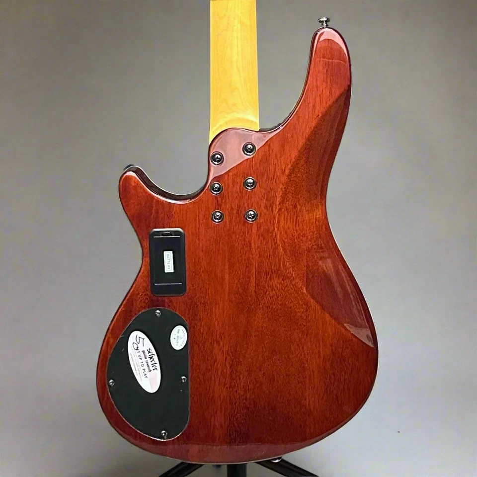 Bajo eléctrico Schecter Omen Extreme-4 cuerdas - Sunburst vintage Foto 4 de 4