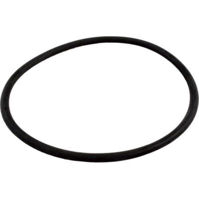 Waterway Plastics 806105129826 6'' Trap Lid O-Ring