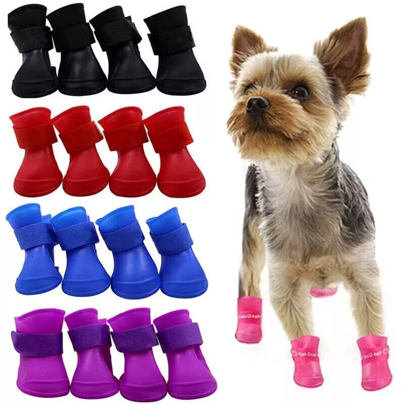 Puppy in hotsell rain boots