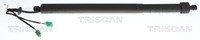 Triscan Gasfeder, Koffer-/Laderaum 8710 28304 FüR CitroËN