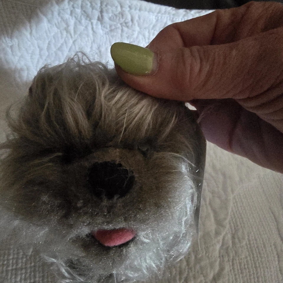 Warner Bros Mago de Oz Lote Bolsa de Frijoles de Peluche Muñecas de Peluche Coleccionista Conjunto de 9 Foto 2 de 4