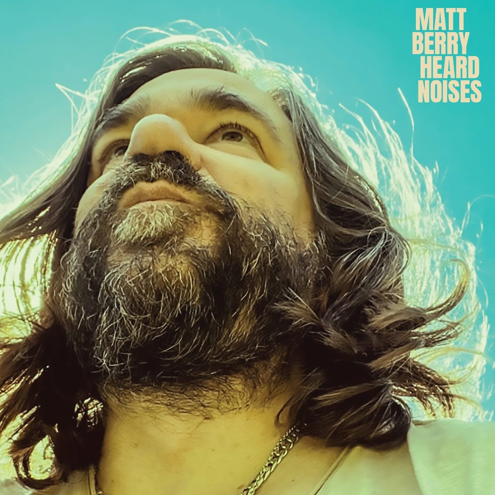 Matt Berry Heard Noises Cassette AJXC817 NEW