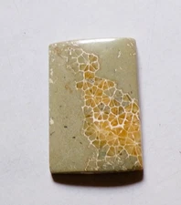 32.95 Cts Natural Fossil Coral Cabochon Loose Gemstone 30.4X21X5MM 15