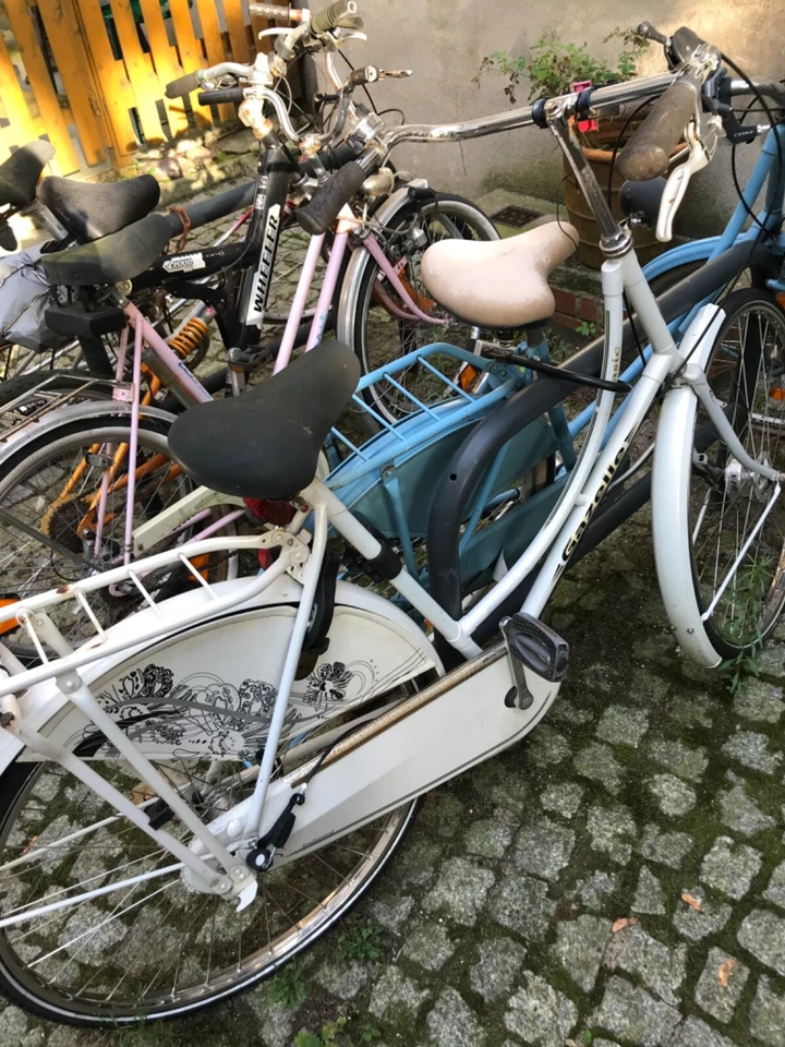 Hollandrad damen gazelle (in weiß)