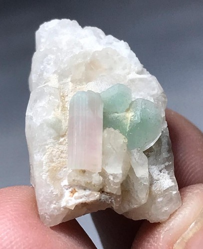 Bellissimo esemplare di cristallo di tormalina minerali dall'Afghanistan 22 carati - Foto 8 di 8