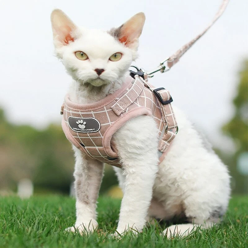 Dog Harness and Leash Set Reflective Mesh Adjustable Harnesses for Puppy Kitten Dog Harness and Leash Set Reflective Mesh Adjustable Harnesses for Puppy Kitten