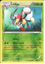 7/146 Ledian Uncommon Reverse Holo Card: Pokemon Trading Card Game XY-01