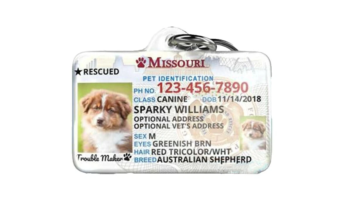 Etiquetas de identificación de perro de plástico Pet Tags