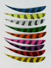 TrueFlight 5" Parabolic Barred Feathers - 12 Pack, RW or LW
