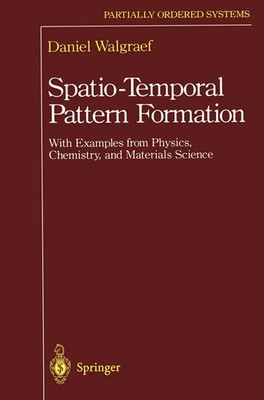 Daniel Walgraef | Spatio-Temporal Pattern Formation | Taschenbuch | Englisch | x