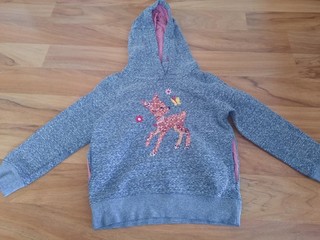 Kinderkleidung Kleidung Pullover Hoodie Gr. 116 / 122