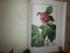 Redoute-et-son-temps-CHARLES-Leger-1945 miniatura 10