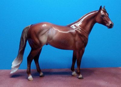 Peter Stone model horse WARM AND FLURRY LE 20 red chestnut gloss Fact CM ISH NR