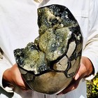 17.66LB Natural Turtle Back Stone Dragon Crystal Cave Crack Gem Healing — photo 5