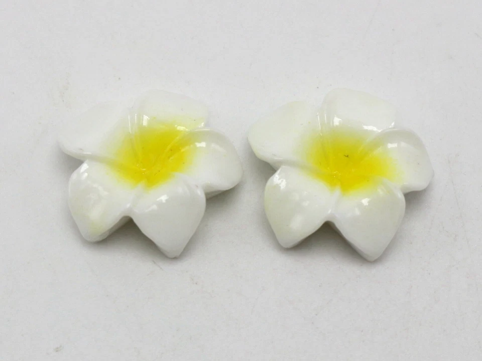 20 lindos cabujones de caramelo de flores de animales de resina plana para álbumes de recortes artesanales Foto 2 de 4