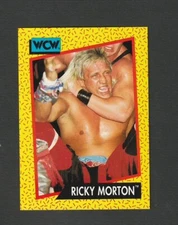 1991 Impel WCW Ricky Morton #102