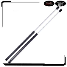 For 1998-2010 Volkswagen Beetle W/O Spoiler Pair Rear Hatch Lift Supports Struts