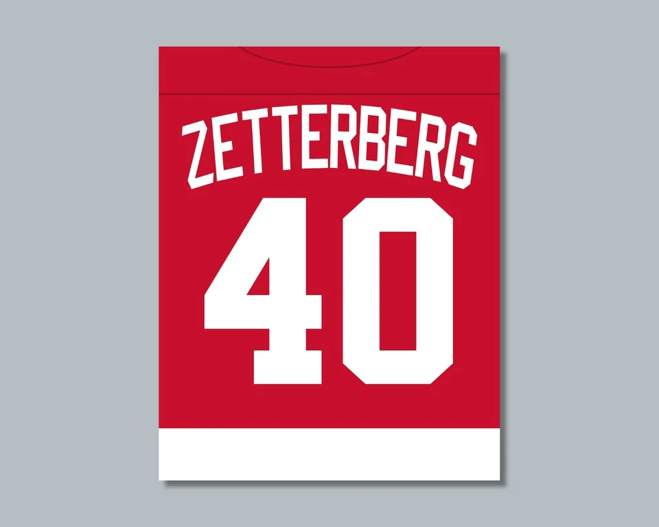 HENRIK ZETTERBERG Detroit Red Wings comparable Photo Picture 8x10 11x14 16x20 JZ - Image 4 of 4