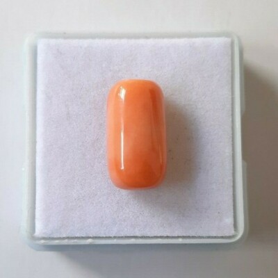 Cabochon En Corail Rouge Naturel - Pépite Italienne - 19 Carats - Vintage Et Brut