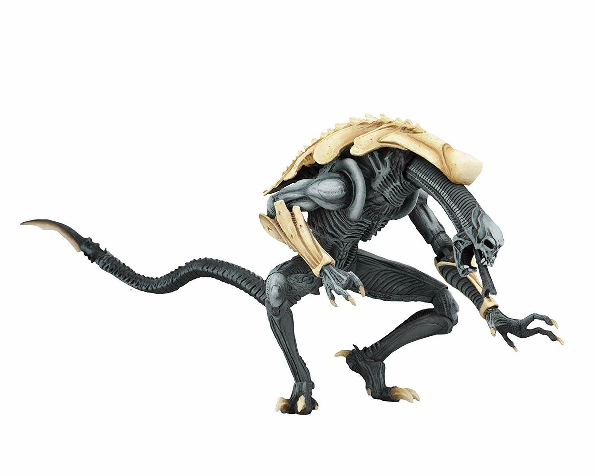 Alien vs. Predator ~ CHRYSALIS ALIEN ACTION FIGURE ~ NECA AVP