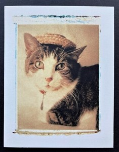 Vtg Tabby Cat in Hat Blank Note Card Sepia Antique Look Notecard Funny