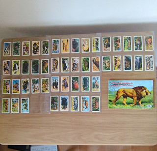 Brooke Bond PG Tips African Animals Tea Cards Mixed Lot Album No.7 Sleeves