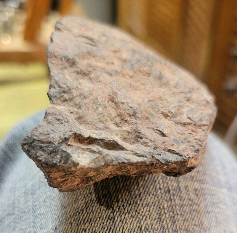 (Meteorite) Found By Mid Michigan Meteorite Hunters Team.