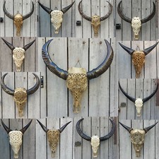 Echter Rinderschädel mit Schnitzerei Wasserbüffel Stierschädel Kuhschädel Cow