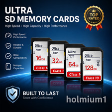 SD Card 64GB 128GB 256GB V10 16GB 32GB Normal Full Size Flash SD Memory Card Hig