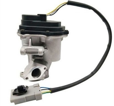 MAGNETI MARELLI AGR Ventil 571822112138 für ROVER LANDROVER SPORT L322 RANGE 3 1