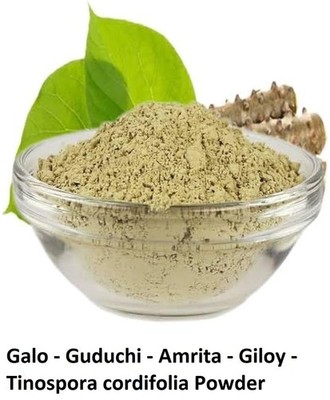 Galo Giloy Guduchi (Tinospora cordifolia) Powder 100% Purest
