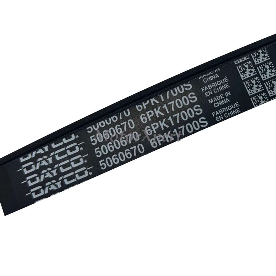 Cinturón accesorio de motor OEM Dayco 03C260849A para VW BEETLE JETTA GOLF AUDI S4 S6 Foto 3 de 3