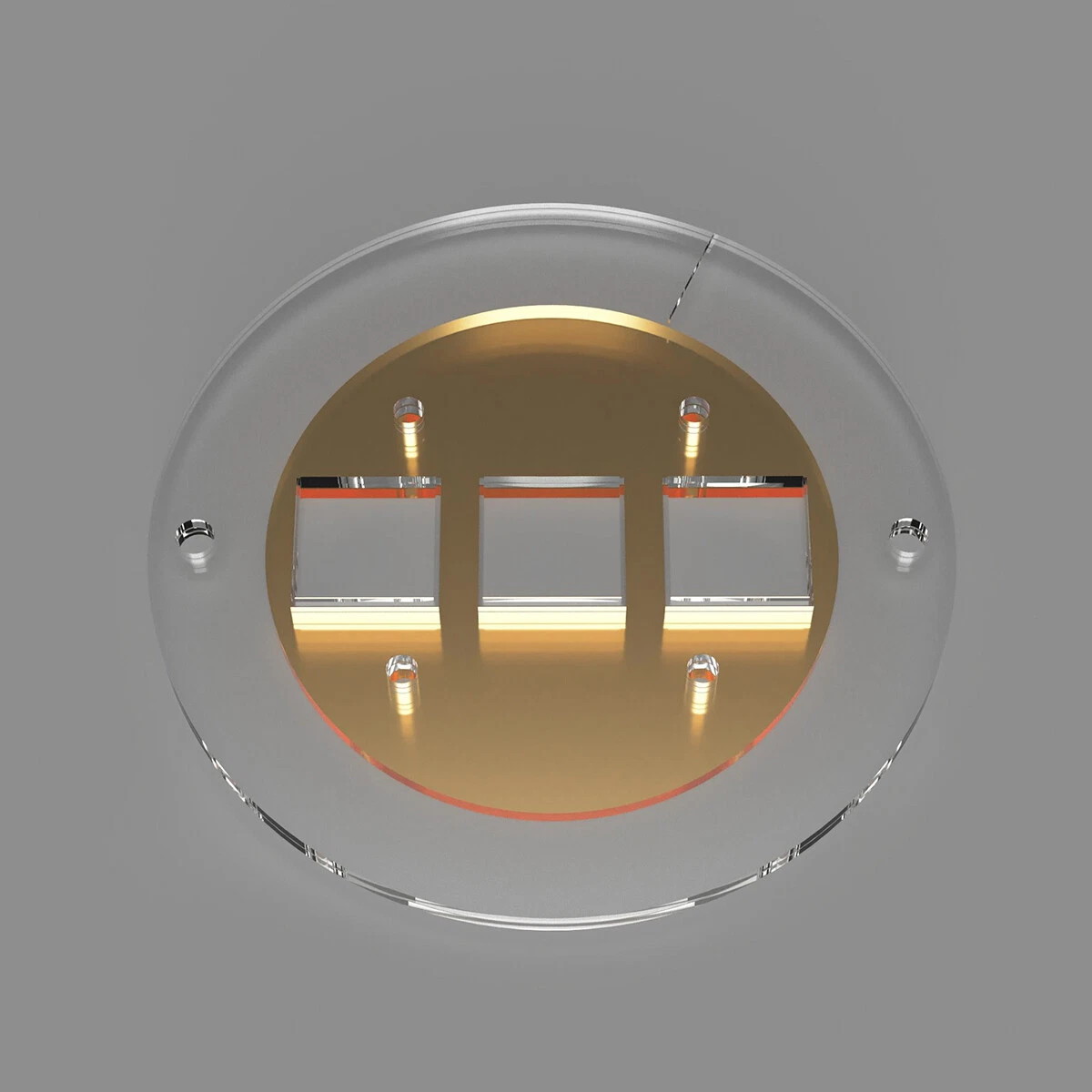 ASD Cover Gold