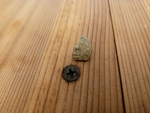 Civil War Confederate officer button found at camp Walnut Hill Petersburg VA