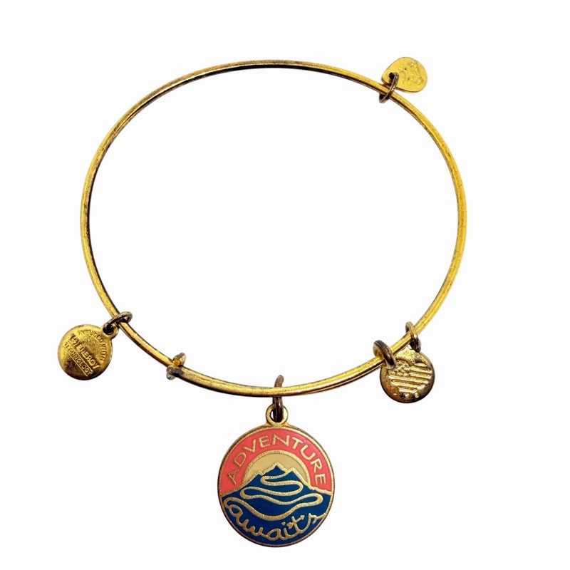 ALEX & ANI Adventure Awaits Gold Tone Enamel Charm Adjustable Designer Bracelet