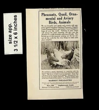 1921 Marmot Pheasantry Quail Ornamental Vintage Print Ad 13930