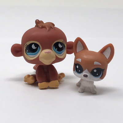 LITTLEST PET SHOP BABY BROWN MONKEY & MINI CHIHUAHUA DOG LPS LOT