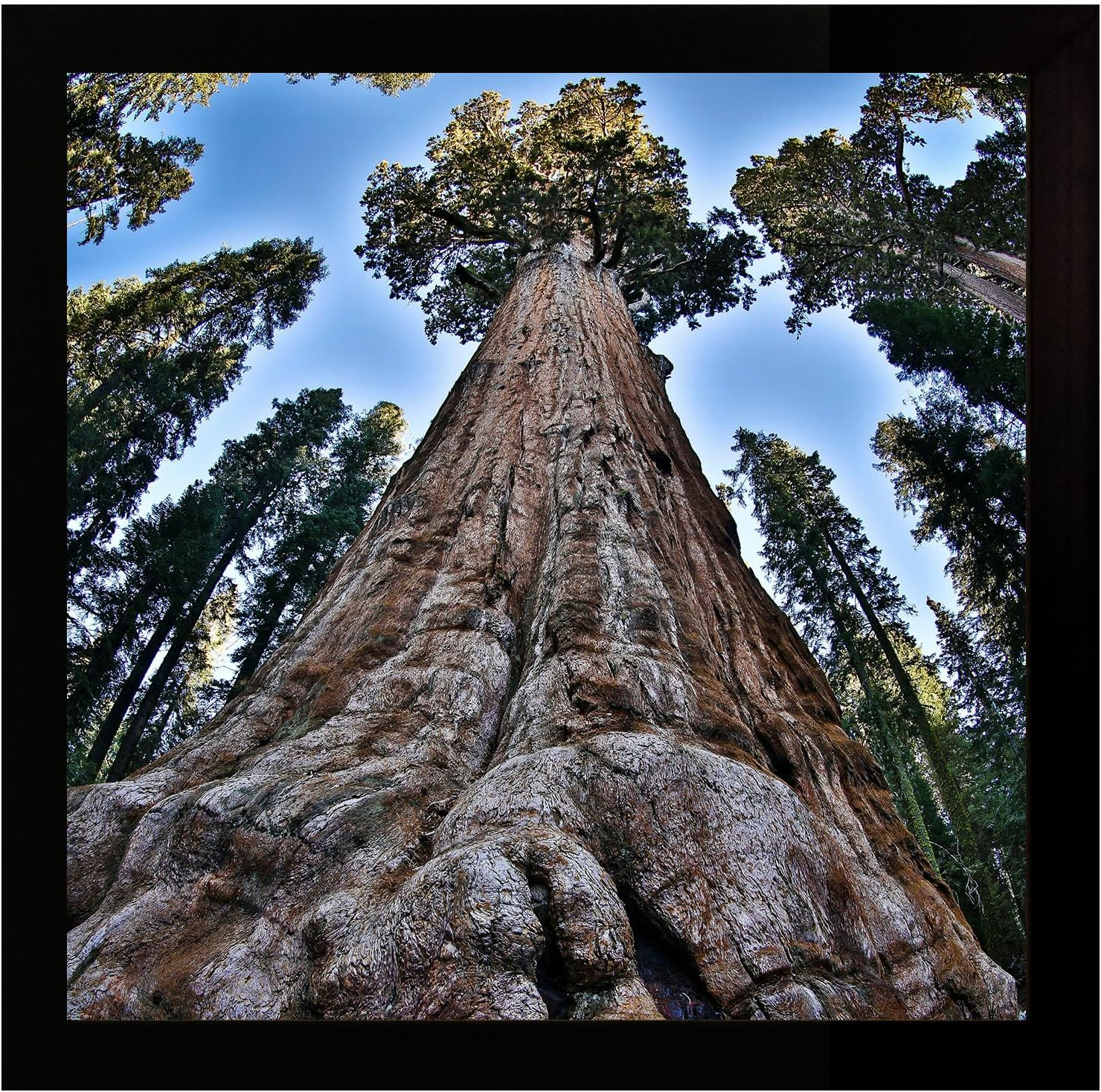 6X6 Picture Frame Black Square Photo Frames Display for Wall and Tabletop