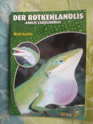 der rotkehlanolis anolis carolinensis von jens rauh