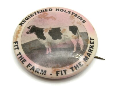 Vintage Registered Holsteins Pinback Button Cow Dairy Farming Ad Fit The Farm