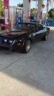 1981 Pontiac Firebird Trans Am