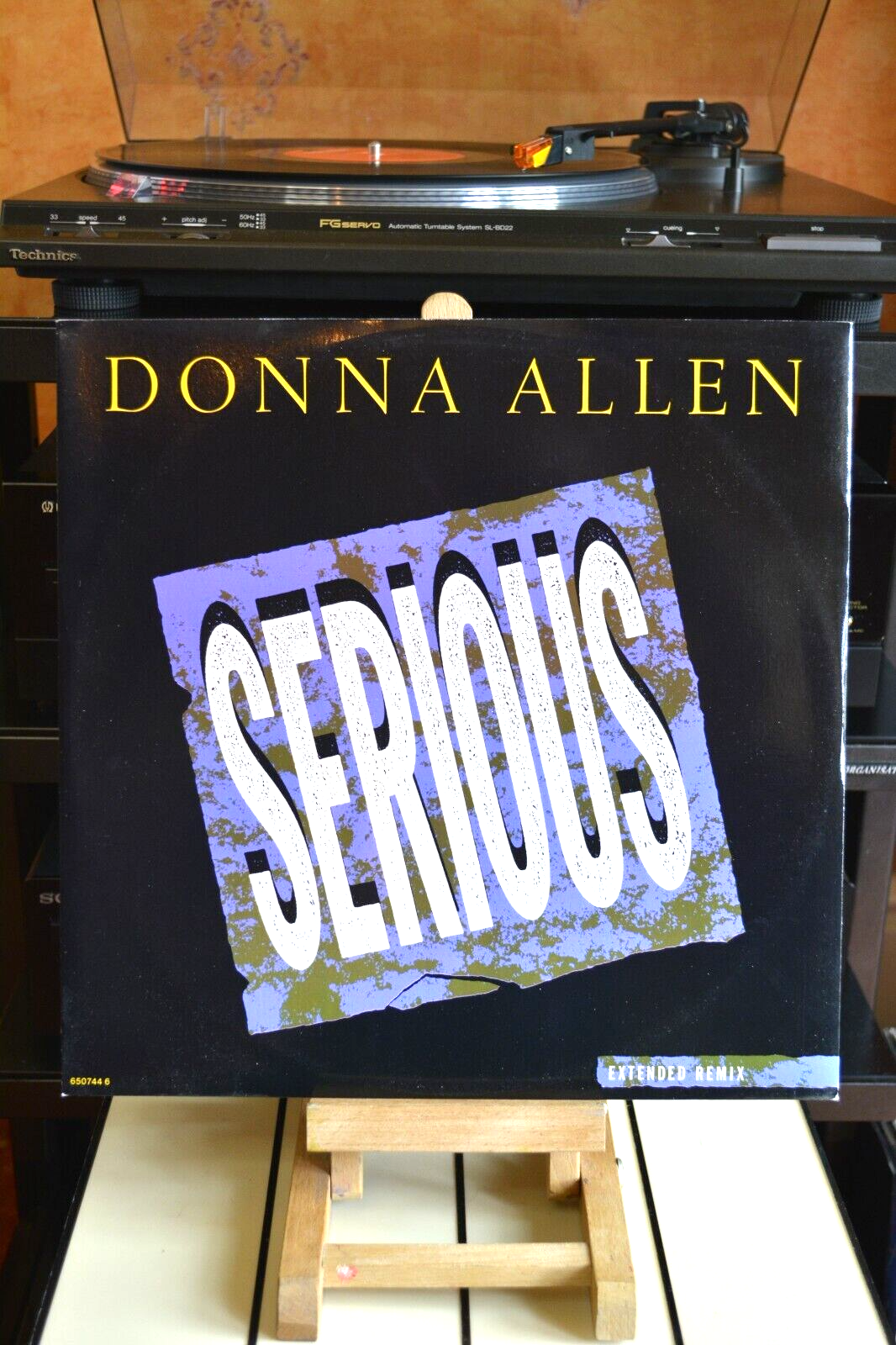 Donna Allen - Serious & Bad Love -Vinyl Record 12"" Single -1987 CBS Records/E761