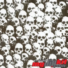 Hydrographics Film Hydro Dipping Water Transfer Print Film LL-2961 Shadow Skulls