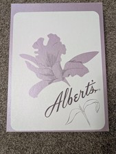 Alberts Nylon Stockings Vintage 9 1/2 Velvetized Sparkle Seamless 2 Pair