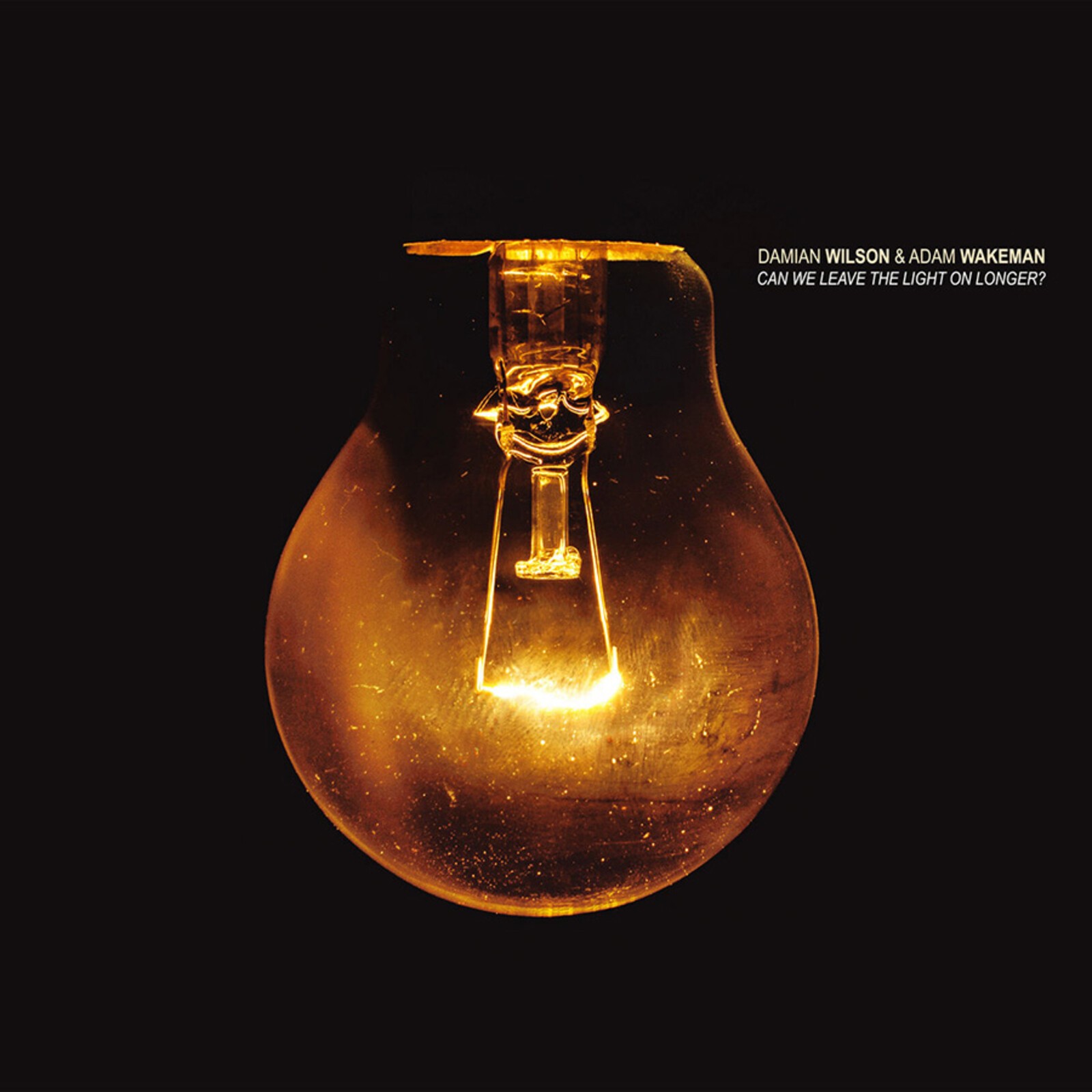 Damian Wilson and Adam Wakeman Can We Leave the Light On Longer? LP Vinyl