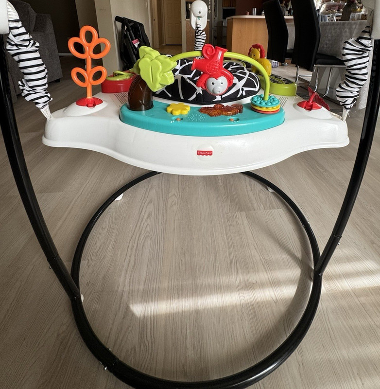 Fisher-Price Animal Activity Jumperoo Activity Center Jumper Infant Multicolor
