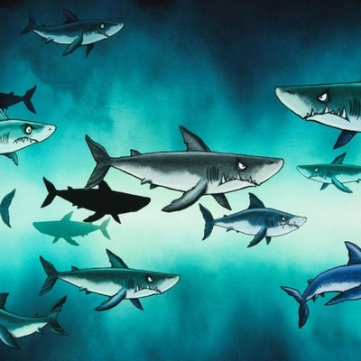 0,85m x 1,50m Shark Tank French Terry Panel von Thorsten Berger Haie Klein