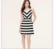 Ann Taylor LOFT Black White Flare Dress V Neck Shirred Pockets Womens Size 2 NWT